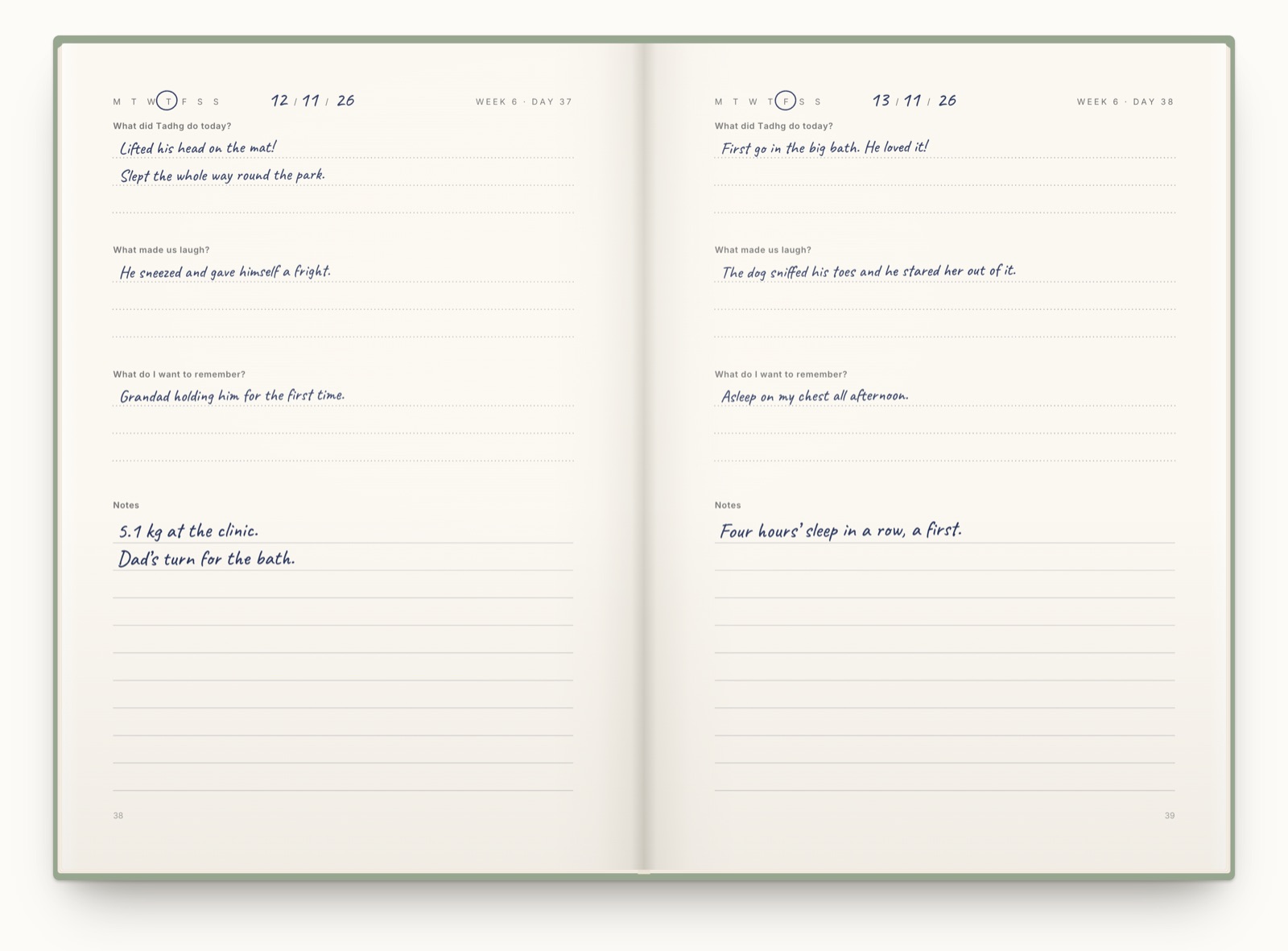 An open journal called Tadhg, day by day, with a page for each day. Each page asks What did Tadhg do today?, What made us laugh? and What do I want to remember?, with an answer written under each and lined notes below.